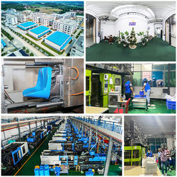 Китай Shenzhen Flyon Sports  Co., Ltd. Направление компании