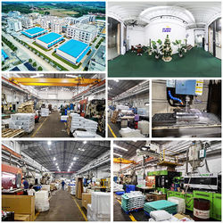 Китай Shenzhen Flyon Sports  Co., Ltd. Направление компании