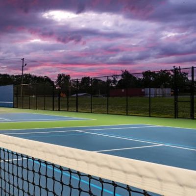 Портативная машинка циновки суда Ondoor Pickleball линия обслуживание циновки крена 60 x 30ft свободная картины